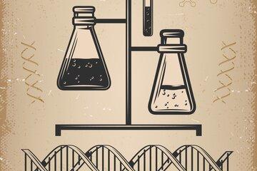 Support de laboratoire sur lequel se trouvent trois fioles remplis de liquide