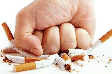 cigarettes-detruites