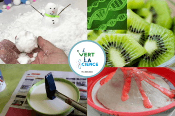 illustration expériences VLS