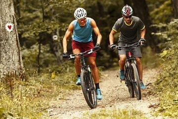 vélos