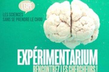 Expérimentarium Affiche Expérimentarium