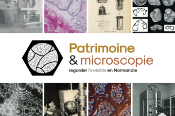 Exposition Patrimoine & Microscopie