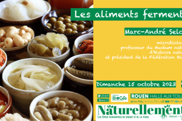 Les aliments fermentés