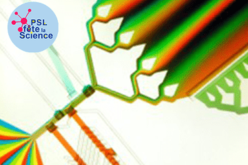 un circuit microfluidique