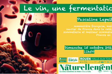 Le vin, une fermentation