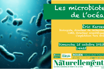 Les microbiotes de l'océan