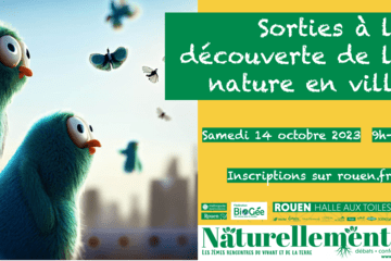 Sorties nature en ville