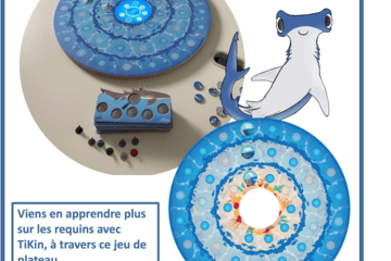 Jeu de plateau TiKin