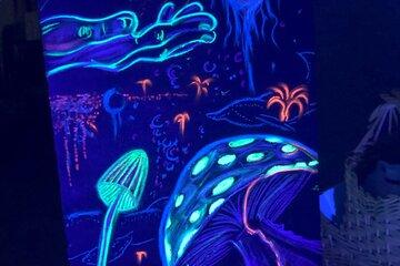 Visuel Stand Bioluminescence - Petits Débs Occitanie