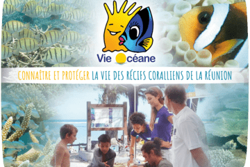 vie oceane