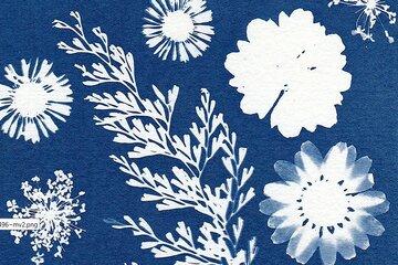 Cyanotype