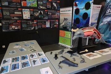 Stand du GECC. Fête de la Science 2023.