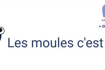 Logo atelier "les moules, c'est cool" avec dessin de deux moules avec des yeux et le sourire