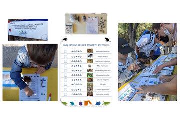 Ateliers sur la biodiversité Ateliers sur la biodiversité