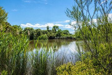 Etang - Colle du Rouet au Muy