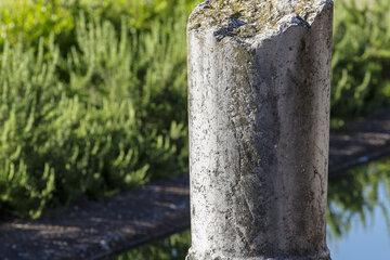 colonne antique, bassin et végétation , site de Saint-Romain-en-Gal