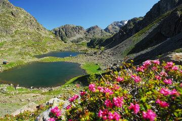 chamrousse_lacs_robert_fleur_station_montagne_grenoble_isere_alpes_france_images_et_reves_fr