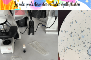 photo d'un microscope et d'un champ contenant des cellules buccales colorées au bleu de méthylène