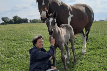 Une femme assise sur l'herbe caresse un poulin, un cheval se tient juste derrière ce dernier.
