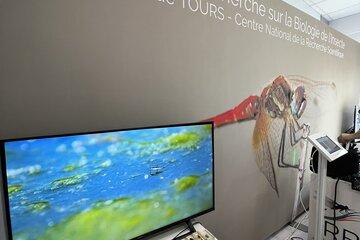 Stand de l'IRBI