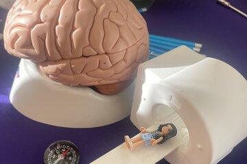 petit IRM et cerveau