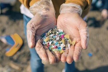 micro-plastiques
