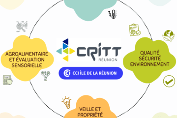 CRITT CCI