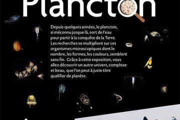 Au coeur du plancton Exposition