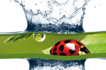 visuel-h2o