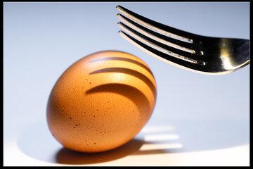 L'oeuf, un aliment multifacettes