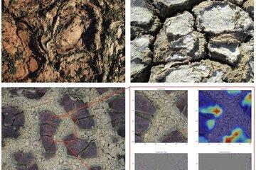 Vrai ou fossile Vrai ou fossile