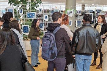 exposition cyanotypes exposition cyanotypes