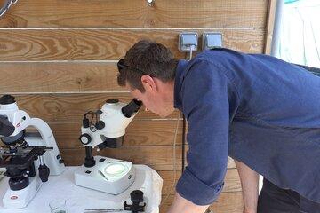 Microscope