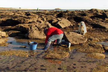 photo de peche à pied