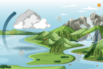 Cycle de l'eau