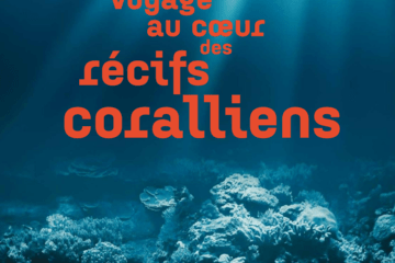Exposition voyage au coeur des récifs coralliens