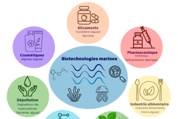 Les applications issues des biotechnologies marines