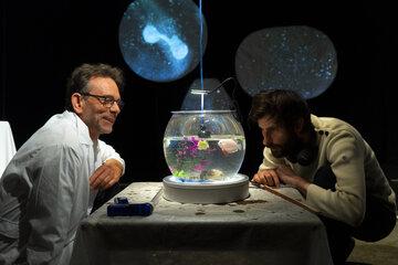 L'excentrique_CieDesTrousDansLaTete_CampementScientifique