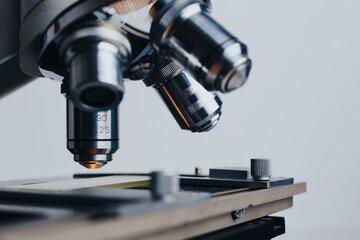 Atelier Le monde microscopique qui nous entoure Microscope