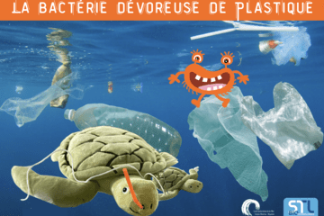 La bactérie dévoreuse de plastique Image présentant les déchets plastiques de l'océan avec une tortue de mer en peluche avec une paille bloquée dans les voies respiratoires.