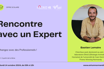 Rencontre avec un expert, Bastien Lemaire