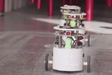 Robot en essaim
