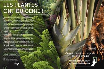 Les plantes ont du génie !