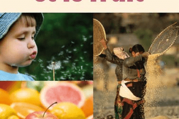 La graine et le fruit