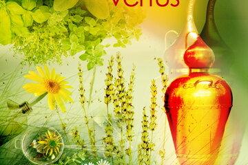 Plantes aux mille vertus