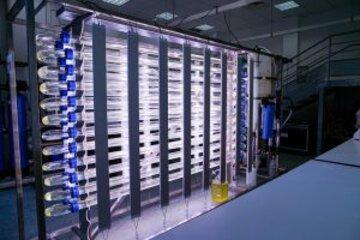 bioreacteur pour cultiver les microalgues bioreacteur pour cultiver les microalgues
