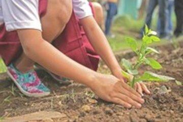 enfant qui plante un végétal