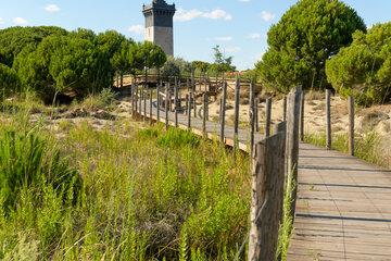 Phare Espiguette Phare Espiguette
