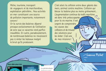 BD Sciences en bulles