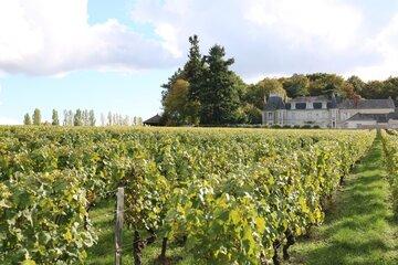 Educavert - Lycée viticole